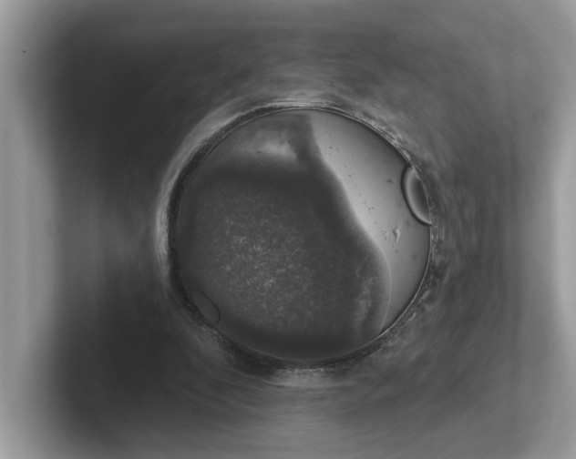 X0000101400296200807211040