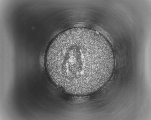 X0000101400297200807211040