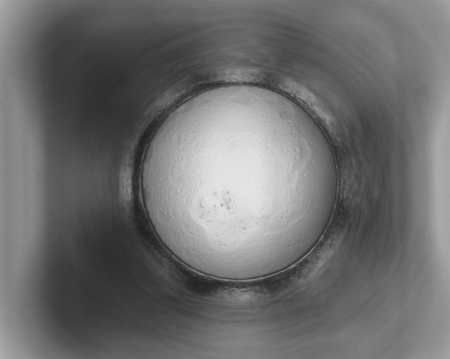 X0000101400299200807211040