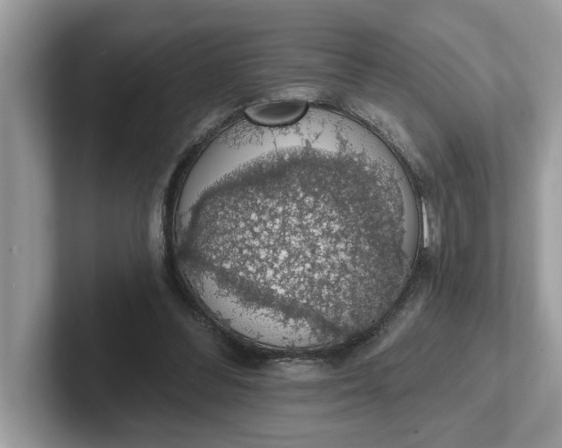 X0000101400300200807211040