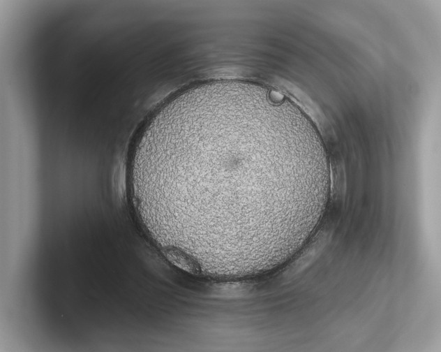 X0000101400301200807211040