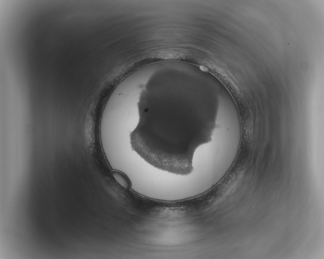 X0000101400303200807211040