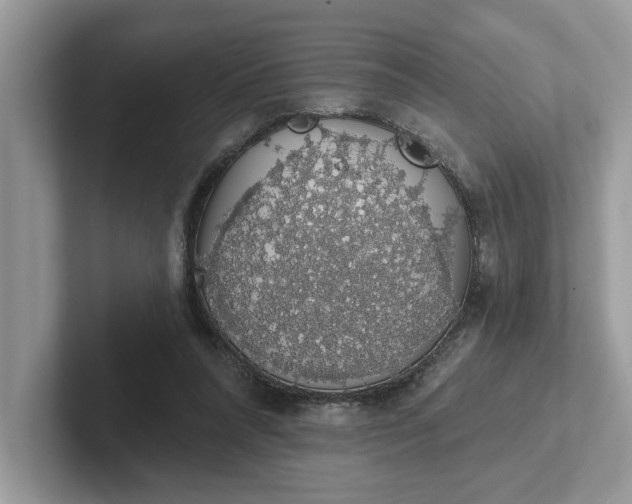 X0000101400304200807211040