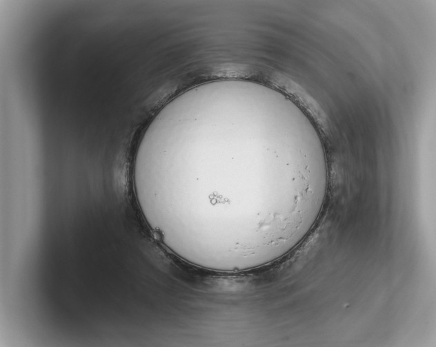 X0000101400305200807211040