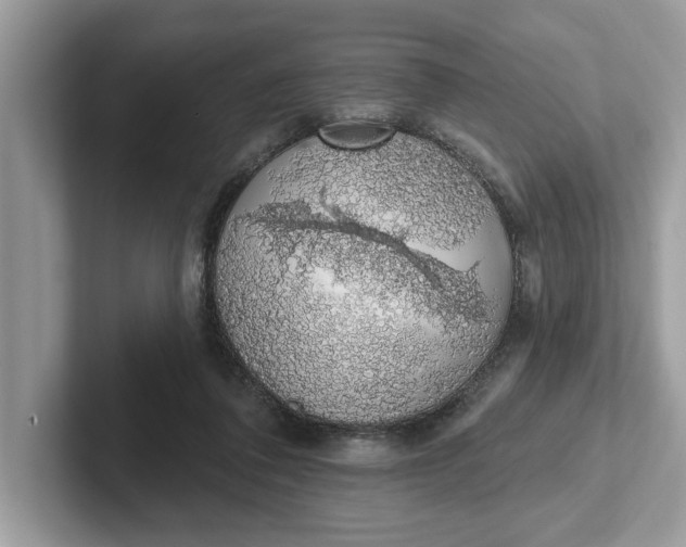 X0000101400308200807211039