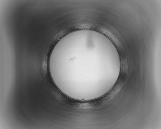 X0000101400309200807211039