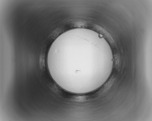 X0000101400313200807211039