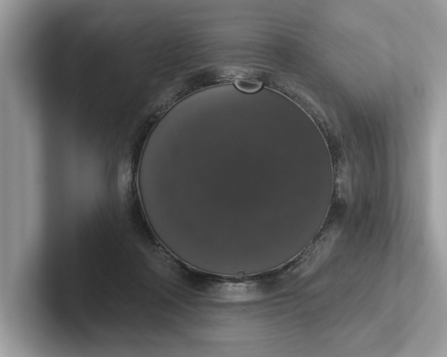 X0000101400314200807211039