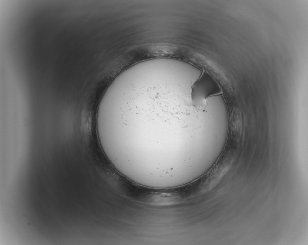 X0000101400315200807211039