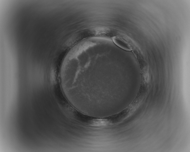 X0000101400316200807211039