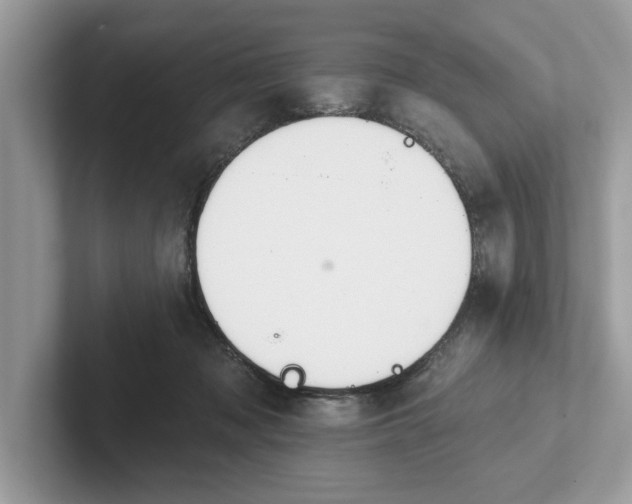 X0000101400317200807211039