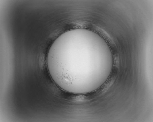 X0000101400318200807211039