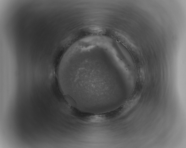 X0000101400320200807211039