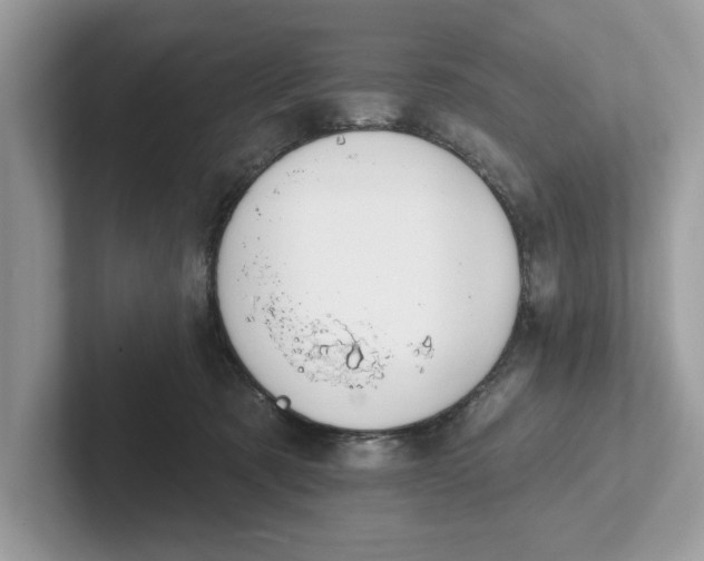 X0000101400321200807211039