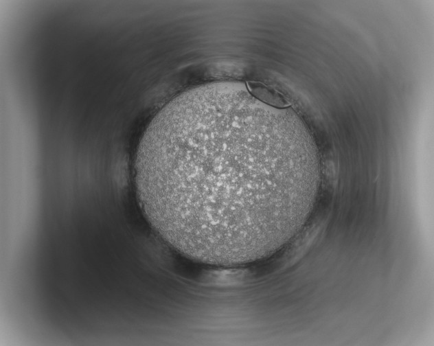 X0000101400323200807211039