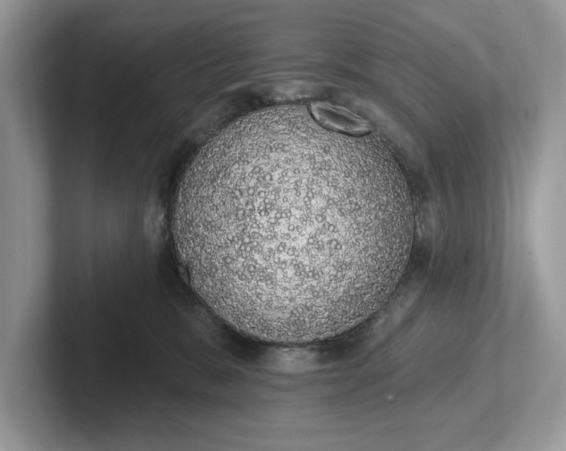 X0000101400327200807211039