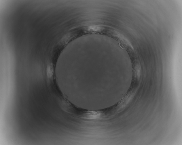 X0000101400328200807211039