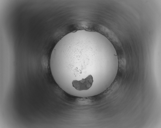 X0000101400331200807211039