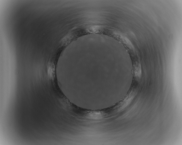 X0000101400332200807211039