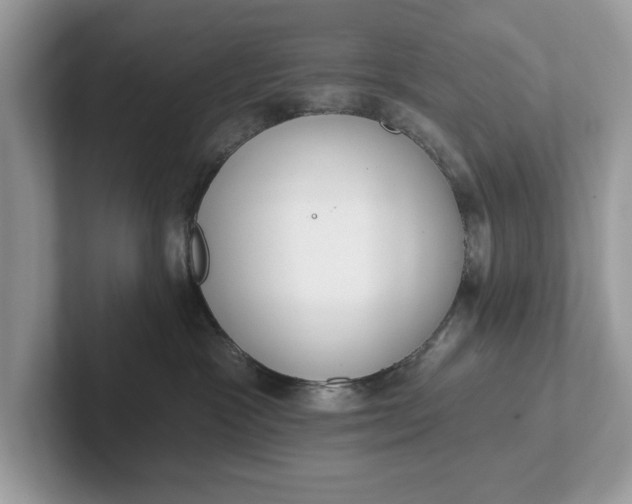 X0000101400333200807211039