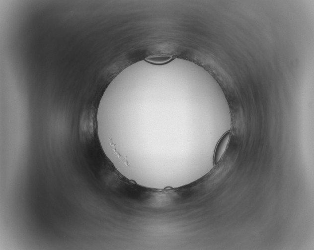 X0000101400334200807211039