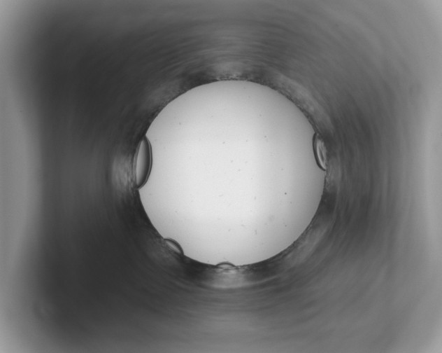 X0000101400335200807211039