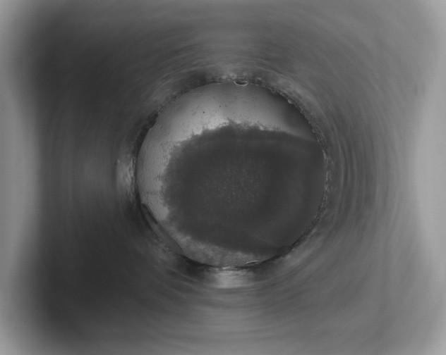 X0000101400336200807211039