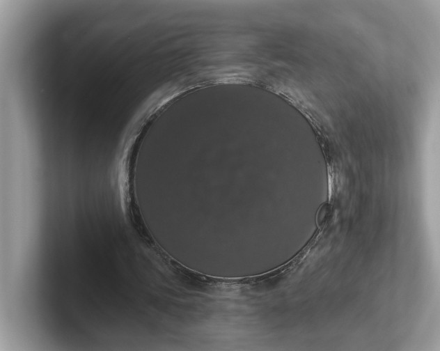 X0000101400339200807211038