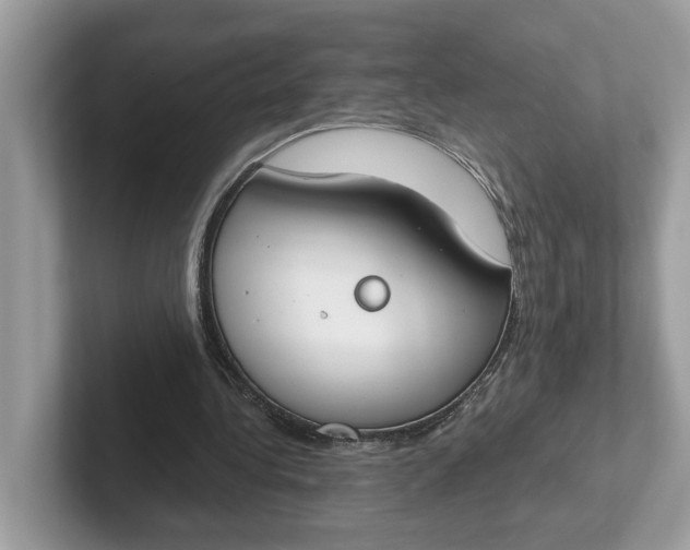 X0000101400340200807211038