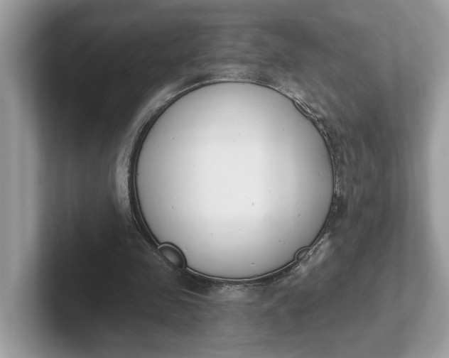 X0000101400341200807211038