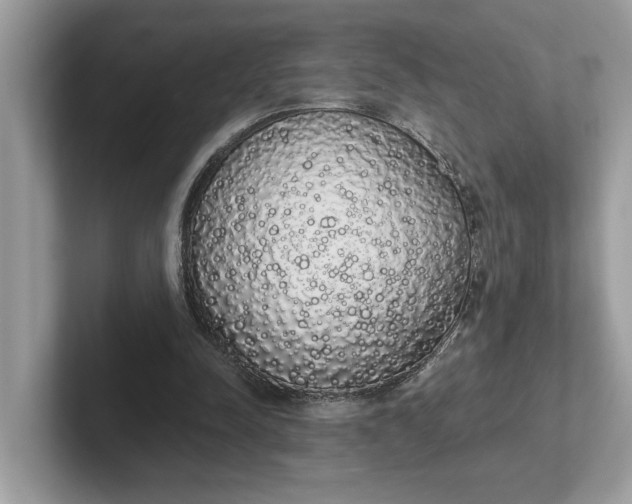 X0000101400342200807211038