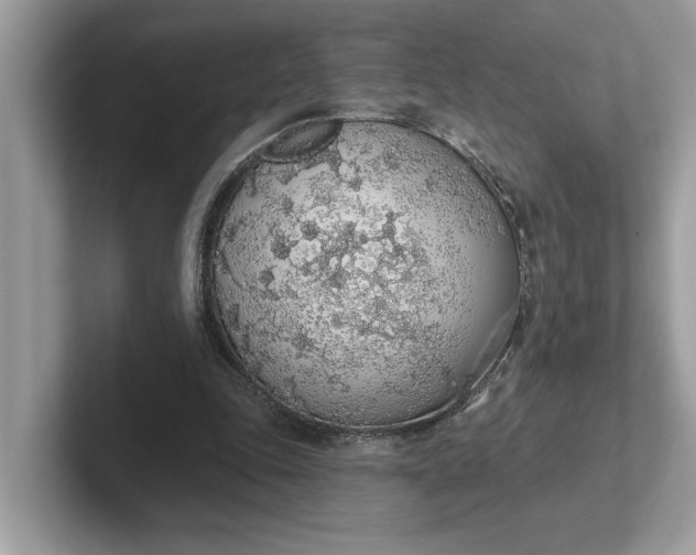 X0000101400343200807211038