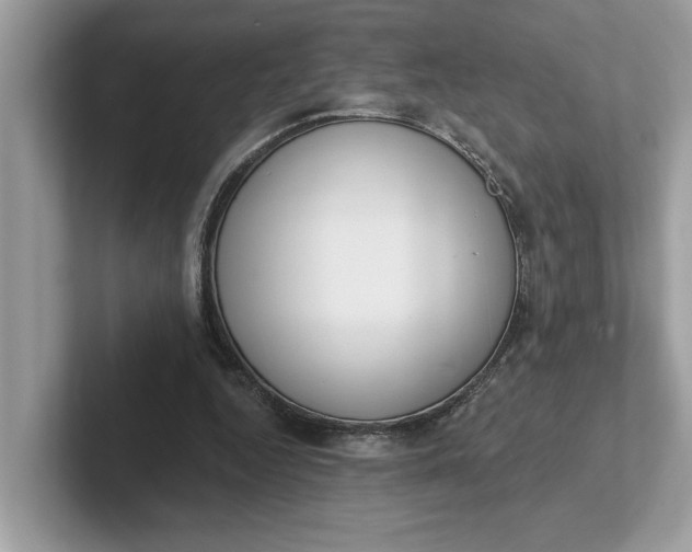 X0000101400344200807211039