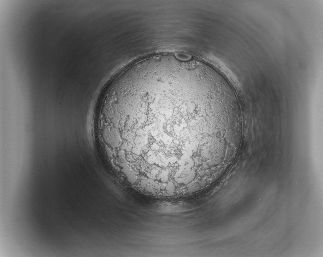 X0000101400346200807211039