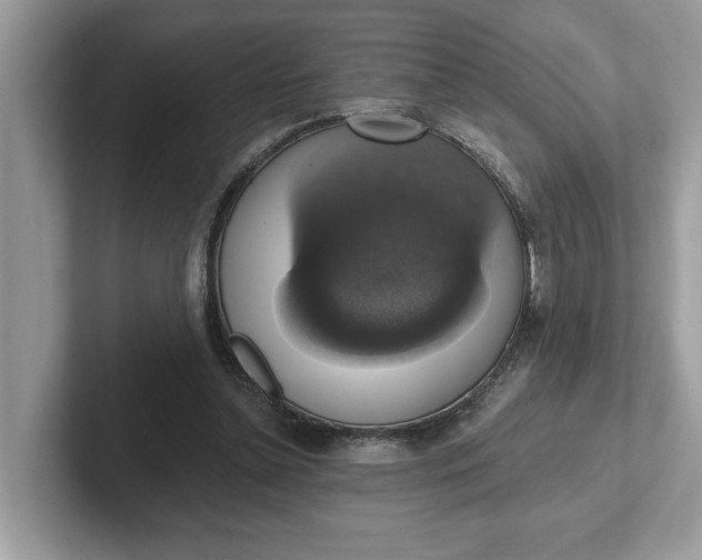 X0000101400348200807211039