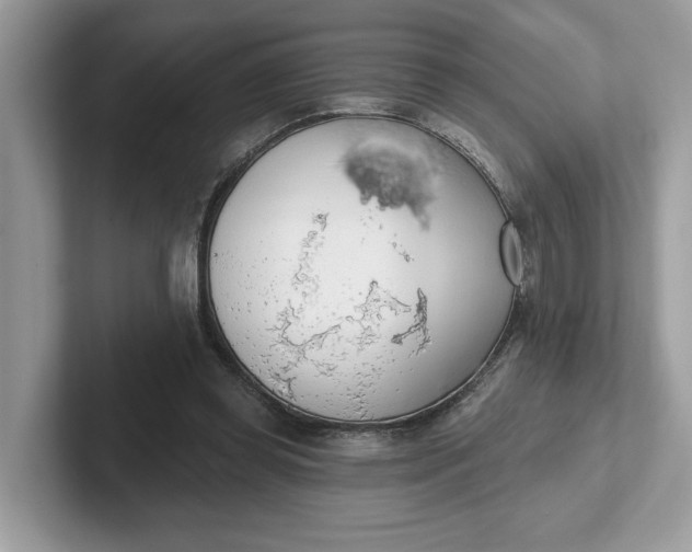 X0000101400349200807211039