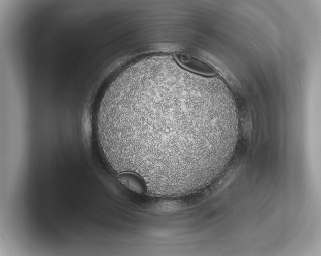 X0000101400350200807211039