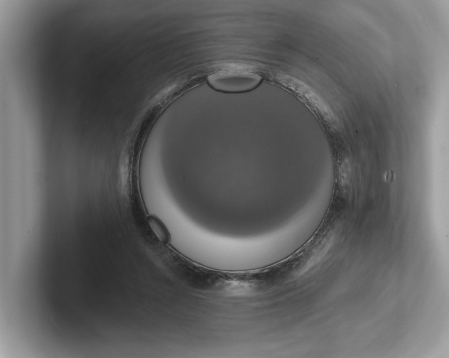 X0000101400352200807211039