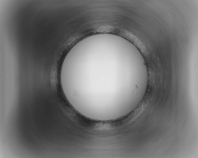 X0000101400354200807211039