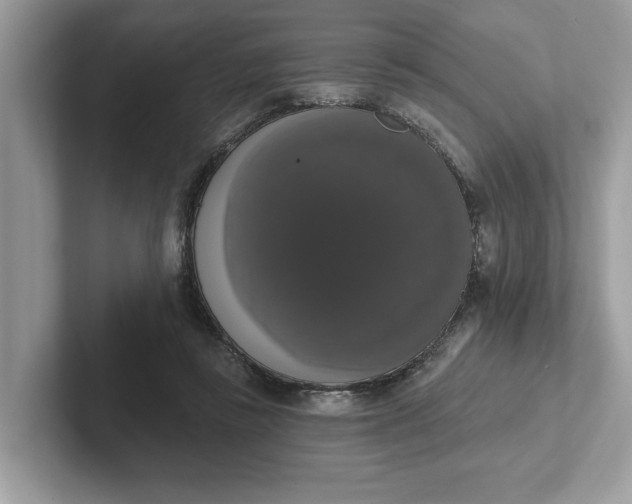 X0000101400355200807211039