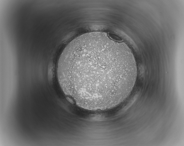 X0000101400356200807211039