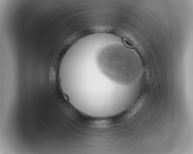 X0000101400357200807211039