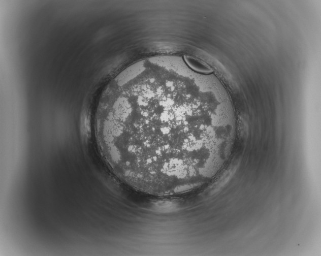 X0000101400358200807211039