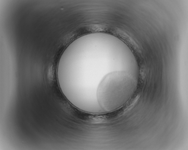 X0000101400359200807211039