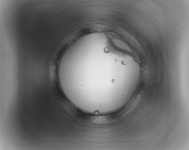 X0000101400361200807211039