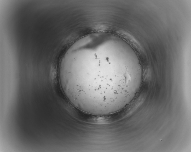 X0000101400365200807211039