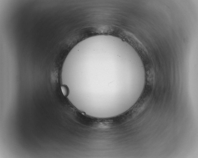 X0000101400368200807211039