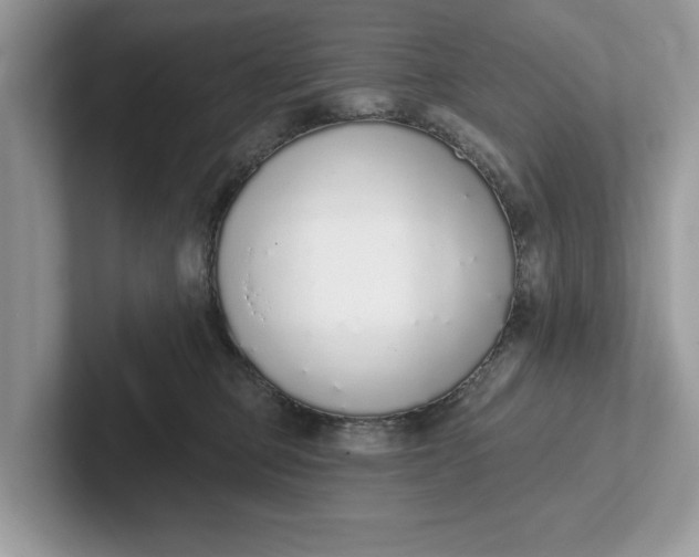 X0000101400373200807211039