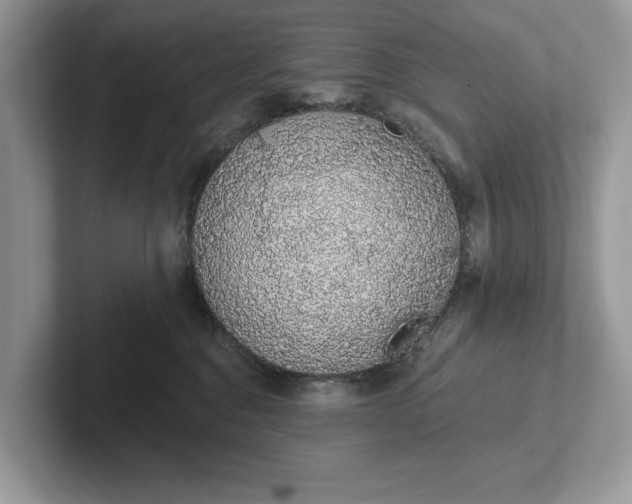 X0000101400376200807211039