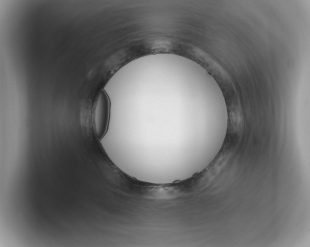 X0000101400379200807211039